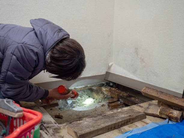 Best Air Quality Testing for Mold Spores  in Livingston, AL