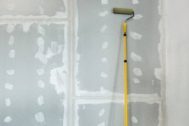 Best Basement Mold Removal  in Livingston, AL