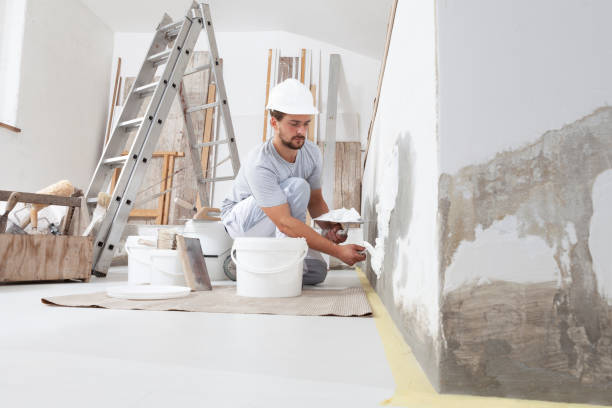 Best Comprehensive Air Testing for Mold Contaminants  in Livingston, AL