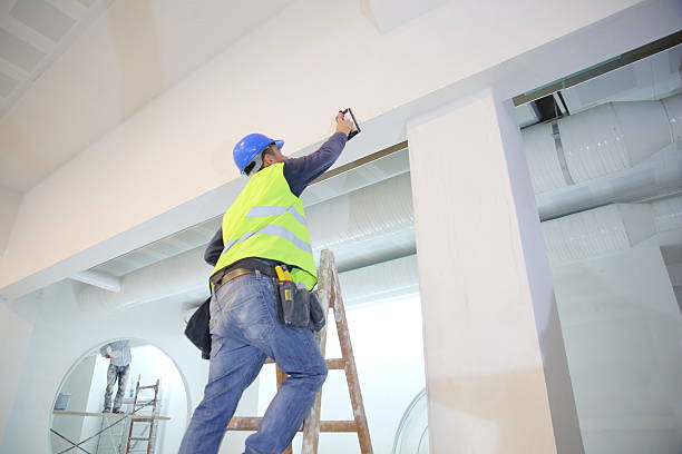 Best Residential Mold Inspection & Testing  in Livingston, AL