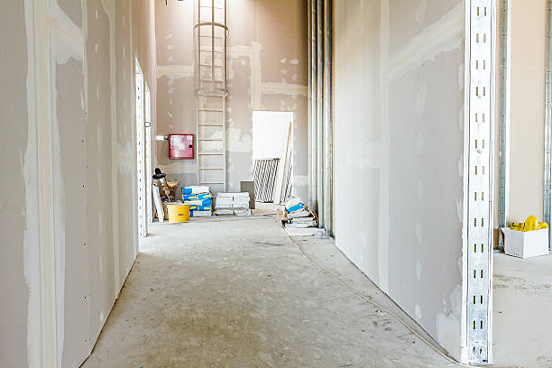 Best Industrial Mold Remediation  in Livingston, AL