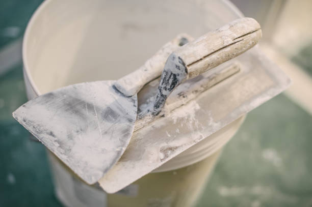 Best Post-Construction Mold Inspection  in Livingston, AL