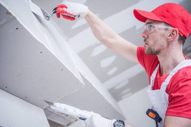 Best Mold Prevention Services  in Livingston, AL